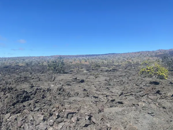 Ocean View, HI 96737