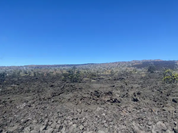 Ocean View, HI 96737