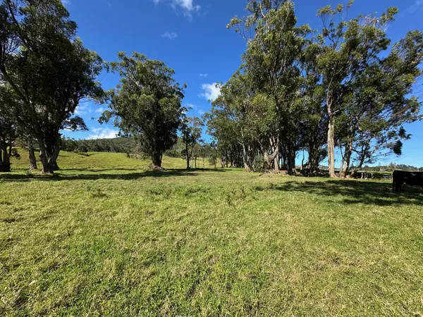 Kamuela, HI 96743,64-550 MAMALAHOA HIGHWAY