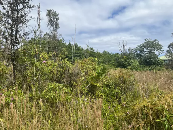 Keaau, HI 96749,15-1513 3RD AVE