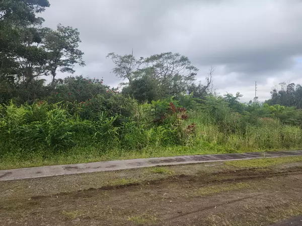 Hilo, HI 96720,52 WILDER RD