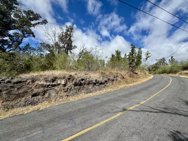 Ocean View, HI 96737,LOTUS BLOSSOM CIRCLE MAUKA