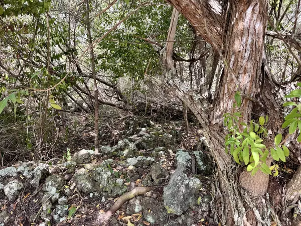 Ocean View, HI 96737,LOTUS BLOSSOM CIRCLE MAUKA