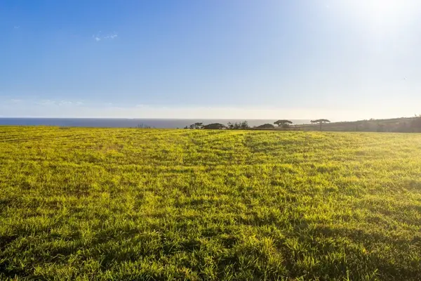 6 Aka Ula Pl, Koloa, HI 96756