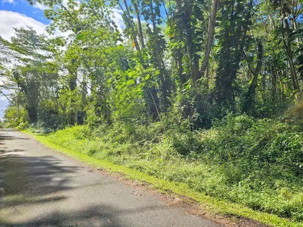 Pahoa, HI 96778,FLOWER RD