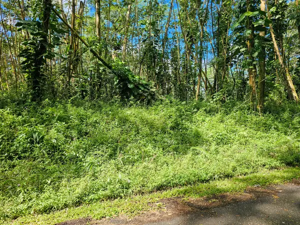 Pahoa, HI 96778,FLOWER RD