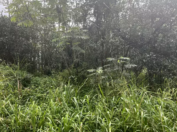 Pahoa, HI 96778,PAKALANA RD