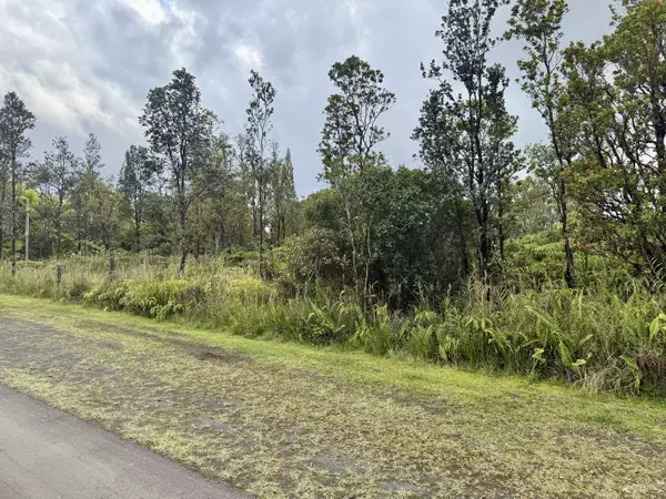 Mountain View, HI 96771,MIKANA ST