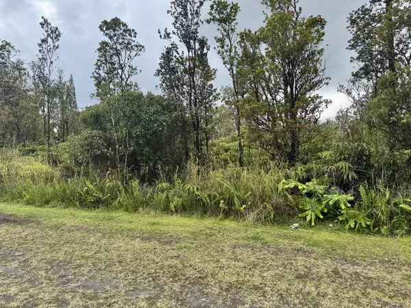 Mountain View, HI 96771,MIKANA ST