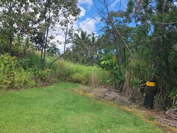 29TH AVE, Keaau, HI 96749