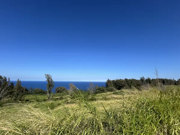 39-3195 OLD MAMALAHOA HIGHWAY, Ookala, HI 96774