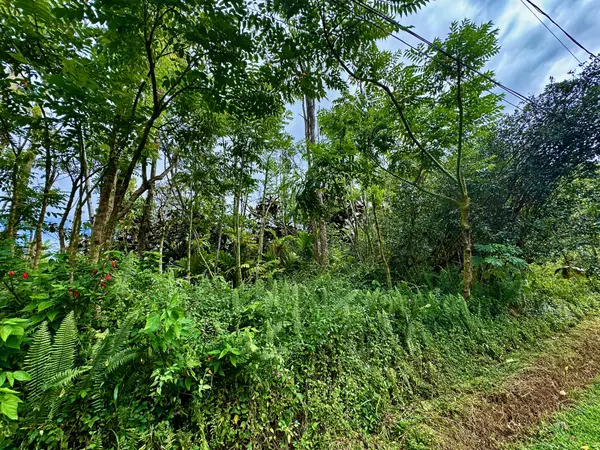 NOHEA ST, Pahoa, HI 96778