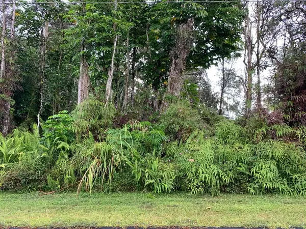 Pahoa, HI 96778,LAI ST