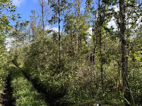 Kurtistown, HI 96760,KING KAMEHAMEHA BLVD