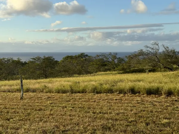 56-135 PUALANI RD, Hawi, HI 96719