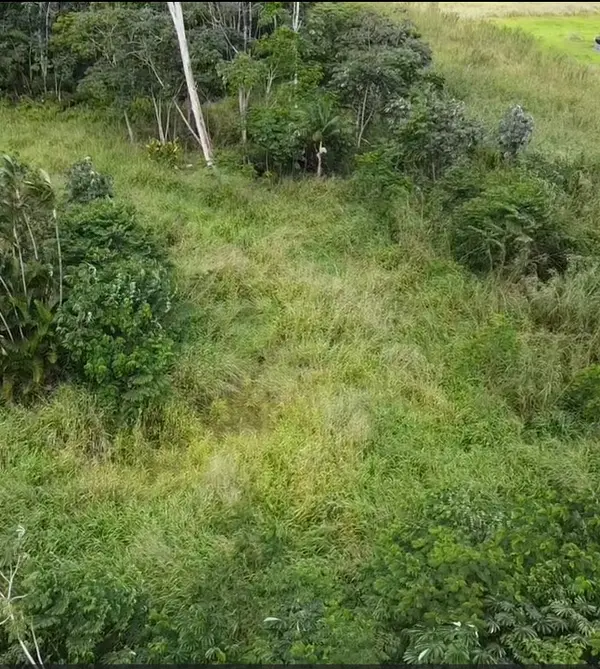 16-26 TIKI LN, Kurtistown, HI 96760