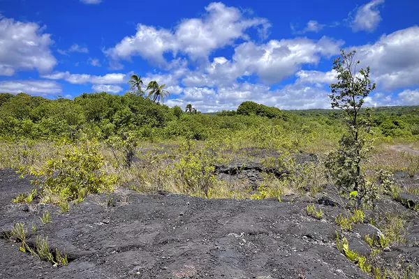 Pahoa, HI 96778,12-4786 KAIMU CHAIN OF CRATERS RD