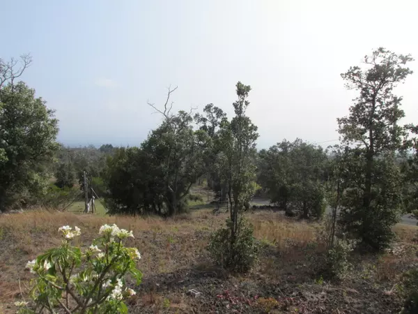 Ocean View, HI 96737,92 KOA LN