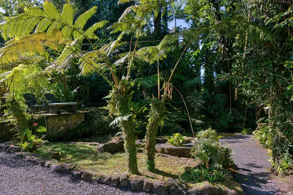 Pahoa, HI 96778,15-2874 JAPANESE CAMP RD