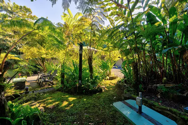 Pahoa, HI 96778,15-2874 JAPANESE CAMP RD