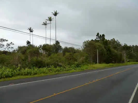 VOLCANO RD, Volcano, HI 96785