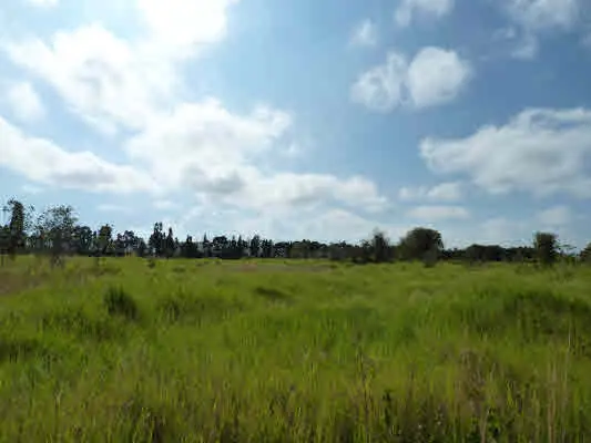 VOLCANO HWY, Volcano, HI 96785