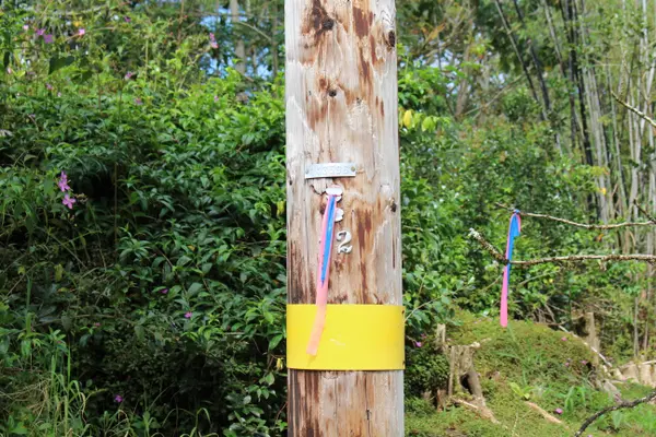 Keaau, HI 96749,26TH AVE