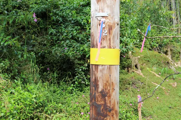 Keaau, HI 96749,26TH AVE