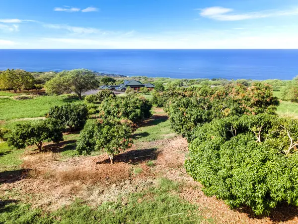 81-6471 LAUKAPALALA WAY, Kealakekua, HI 96750