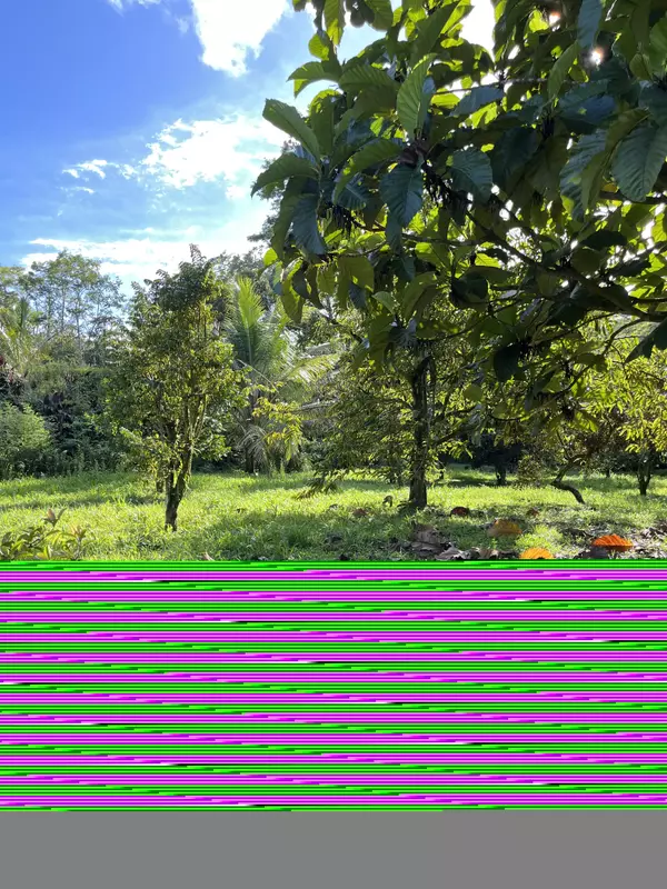 Pahoa, HI 96778,PAHOA KALAPANA RD