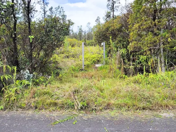 ROAD 1 (UHINI ANA), Mountain View, HI 96760