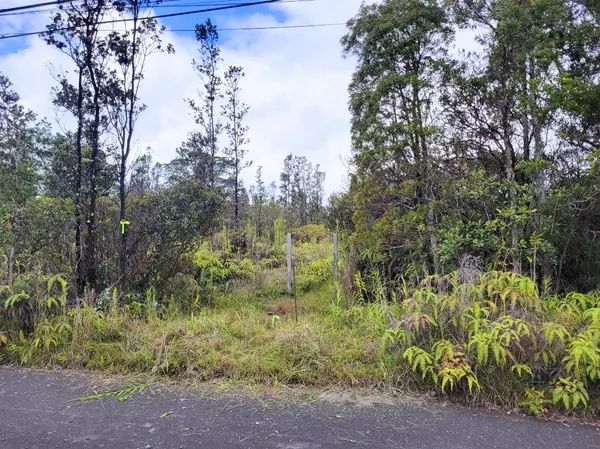 Mountain View, HI 96760,ROAD 1 (UHINI ANA)