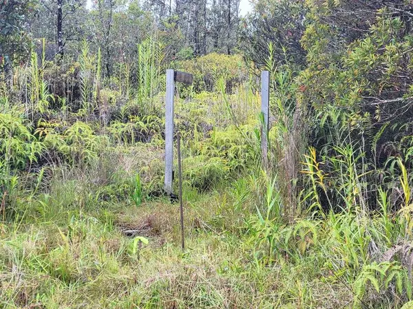 Mountain View, HI 96760,ROAD 1 (UHINI ANA)