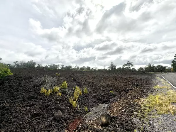 Ocean View, HI 96737,CATAMARAN LN