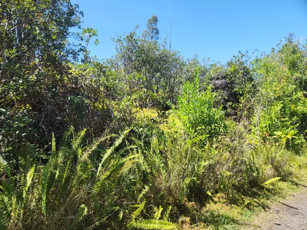 ROAD 6 (OOAA), Mountain View, HI 96760