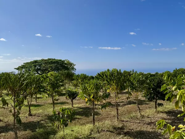 74-5025 LAWAIA PL, Holualoa, HI 96725