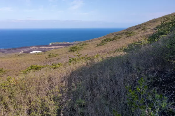 Captain Cook, HI 96704,GUAVA RD