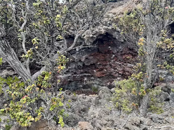 Ocean View, HI 96737,LEI PKWY