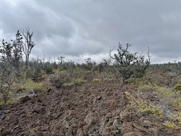 Ocean View, HI 96737,LEI PKWY