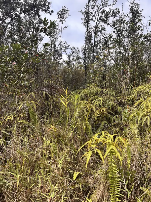 Kurtistown, HI 96760,ROAD 6 (OOAA)