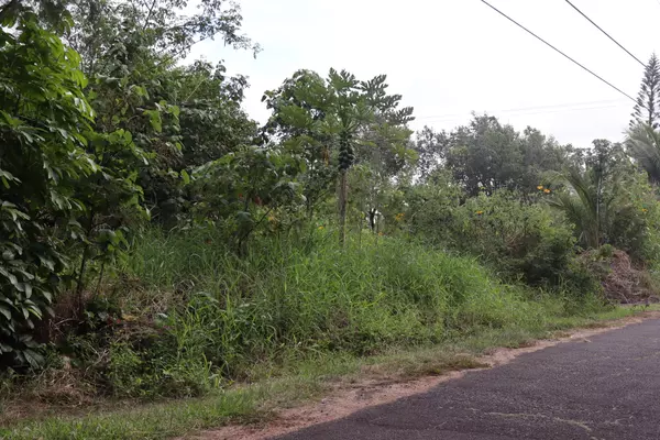 Pahoa, HI 96778,E KAEHUKAI ST