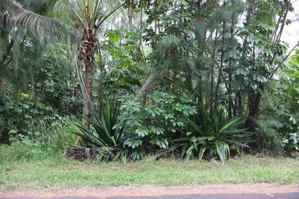 Pahoa, HI 96778,E KAEHUKAI ST