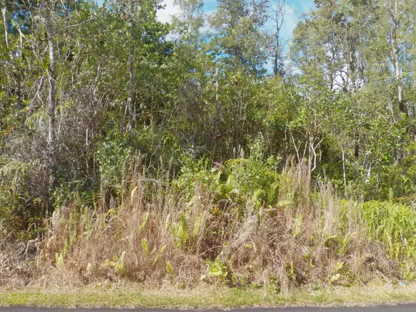 22ND AVE, Keaau, HI 96749