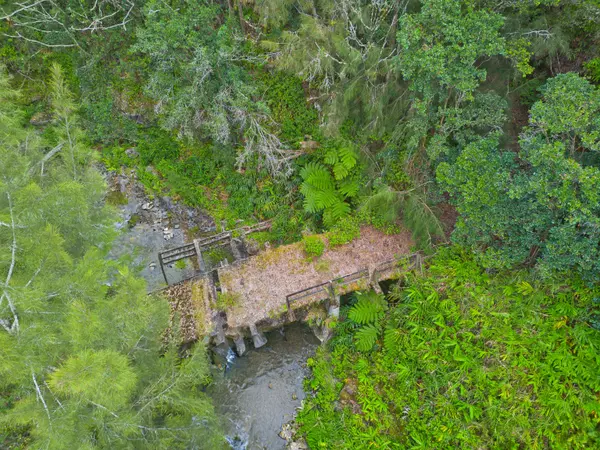 Laupahoehoe, HI 96764