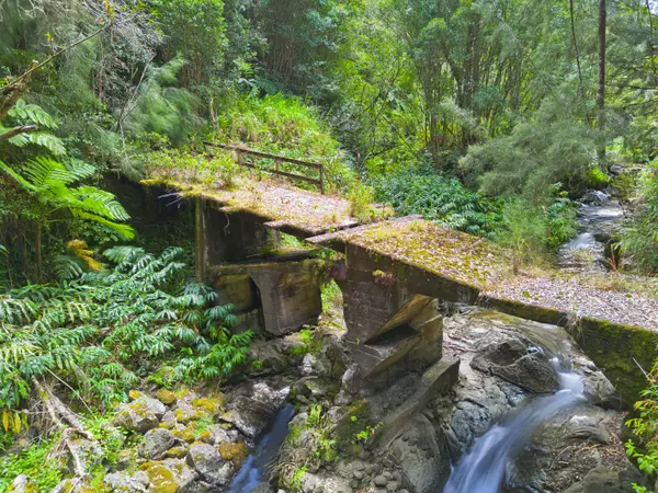 Laupahoehoe, HI 96764