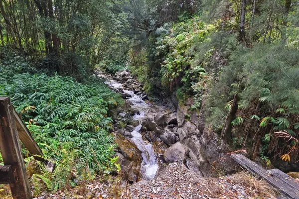 Laupahoehoe, HI 96764