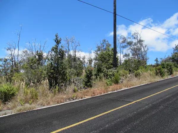 Ocean View, HI 96737,PINEAPPLE  PKWY