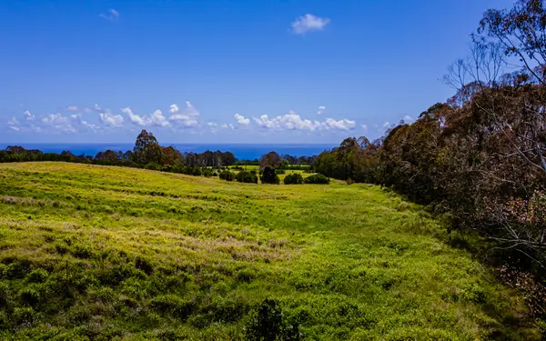 28-583 KAUPAKUEA HOMESTEAD RD, Pepeekeo, HI 96783