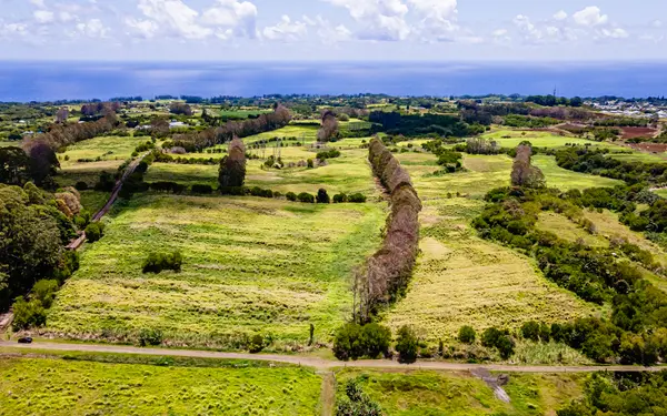 28-583 KAUPAKUEA HOMESTEAD RD, Pepeekeo, HI 96783
