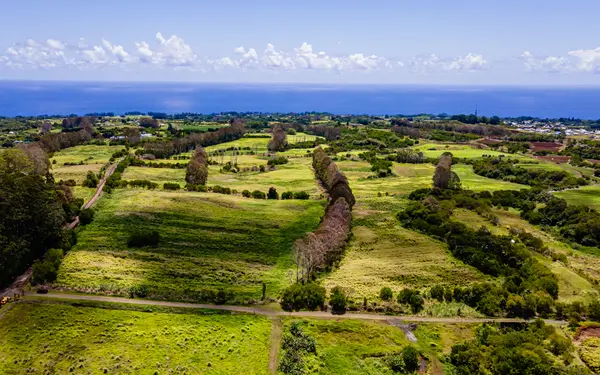 28-583 KAUPAKUEA HOMESTEAD RD, Pepeekeo, HI 96783